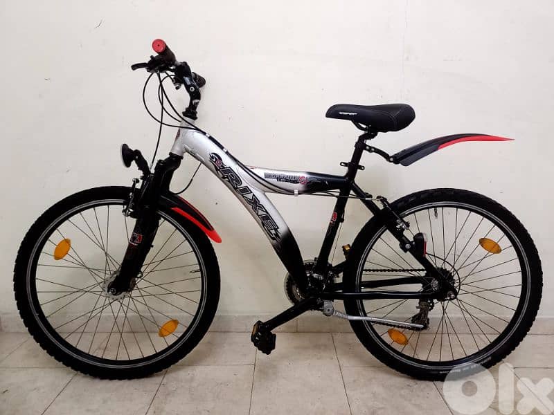 بسكليت Germany 4