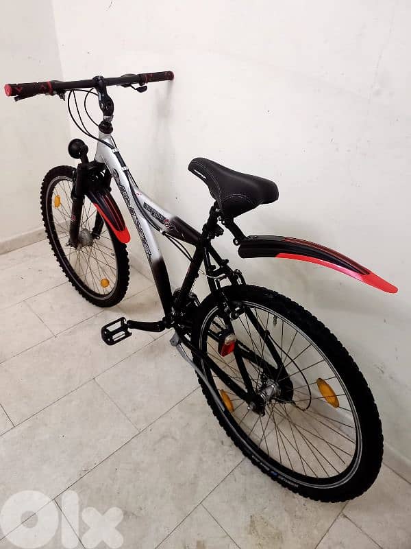 بسكليت Germany 5