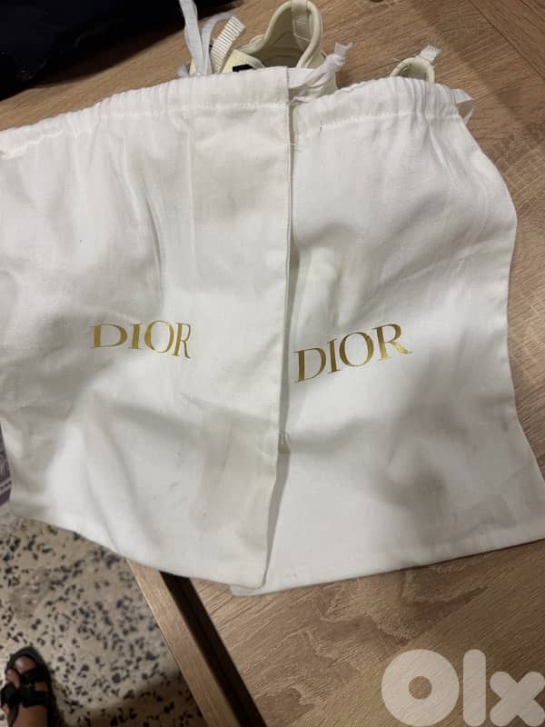dior sneakers 2