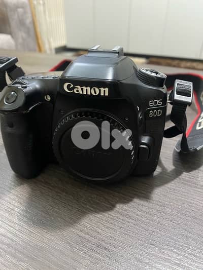 canon 80d body shutter 4k