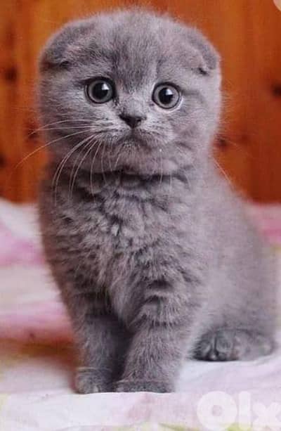 أحلى الأسعار