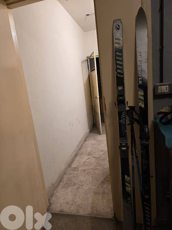 ski 180cm carbon 600 2