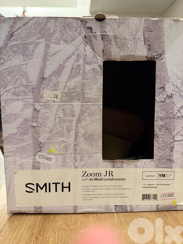 ski helmet smith 5