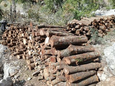 حطب للتدفئه