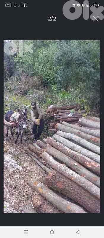 حطب للتدفئه 5