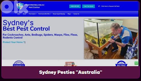 احصل على موقع إلكتروني احترافي ابتداء من ٢٠٠ دولار وتسليم خلال يومين 4