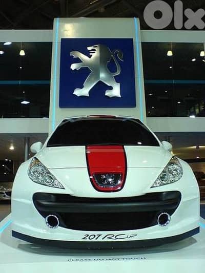 Peugeot 207 RC Le Mans sport