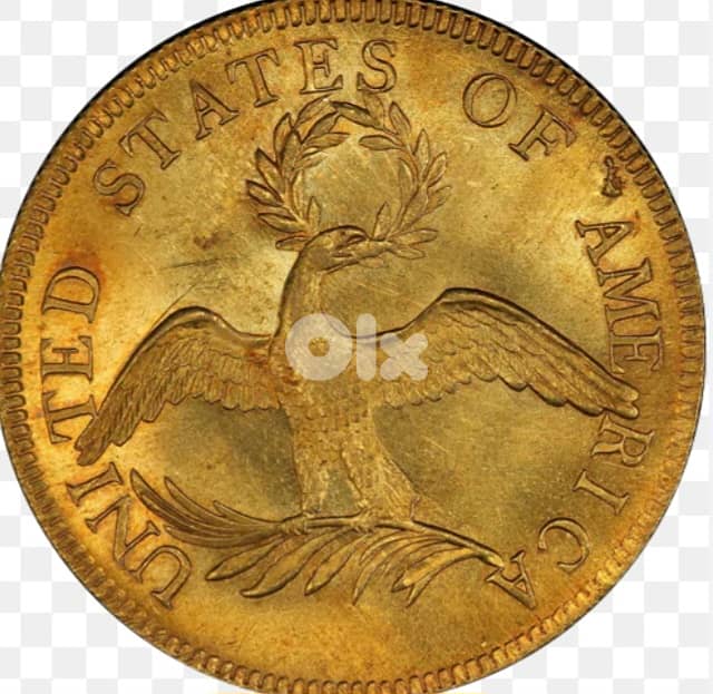 عملة أمريكية ذهبية 1
