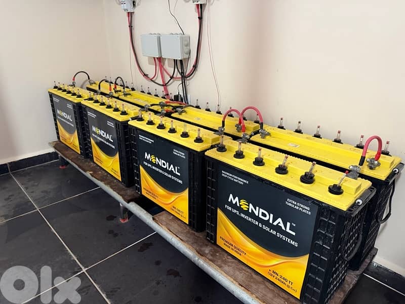 Mondial Battery Acid 1