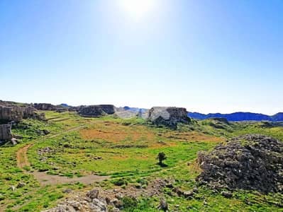 lands for sale in Arz-tannourine أرض "لقطة" بمجمع سياحي فوق أرز تنورين