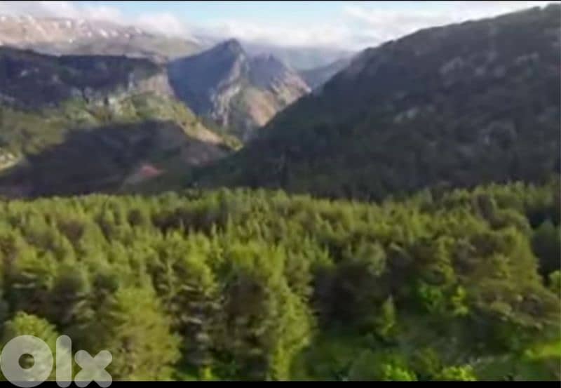 lands for sale in Arz-tannourine أرض "لقطة" بمجمع سياحي فوق أرز تنورين 1