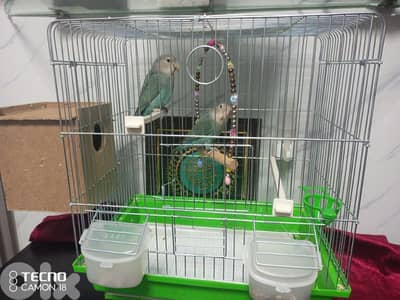 الضاحية المريجة