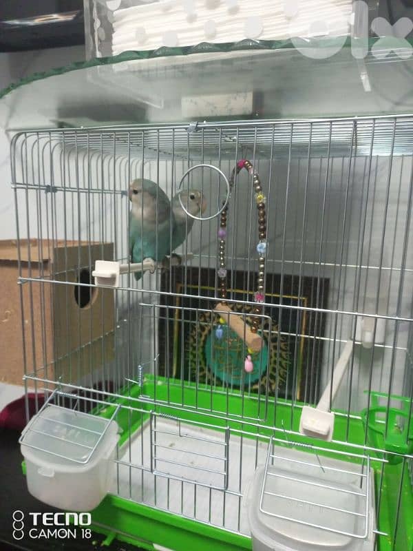 الضاحية المريجة 1