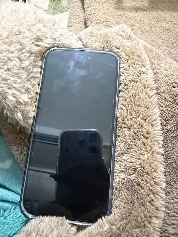 protection l jer7 le bel sheshe battreye 100 mshrj 31 mara 2