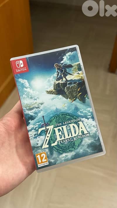 Legend of Zelda: Tears of the Kingdom. Nintendo Switch game