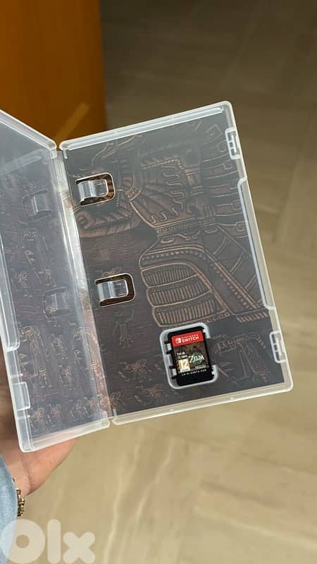 Legend of Zelda: Tears of the Kingdom. Nintendo Switch game 2