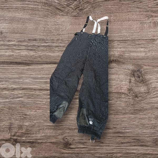 descente snow pant/salopette 1
