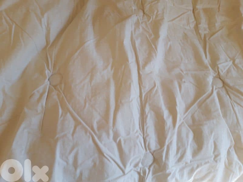 Descamps couette duvet (made in France) - Not Negotiable 2
