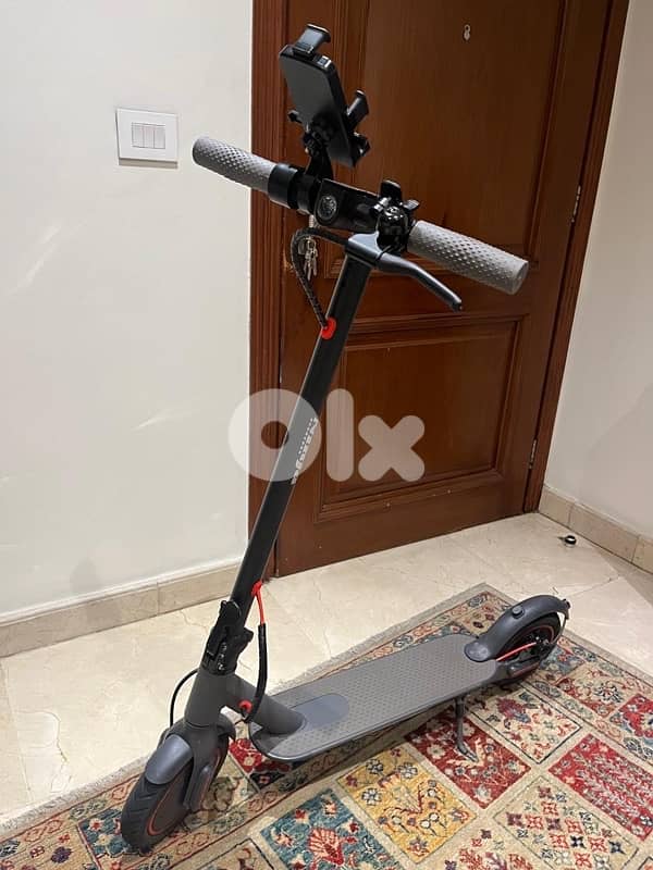 electric scooter 1