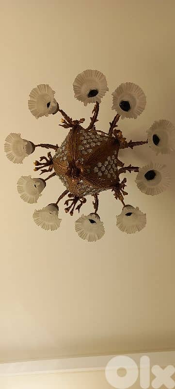 ثريا مرتبة 2