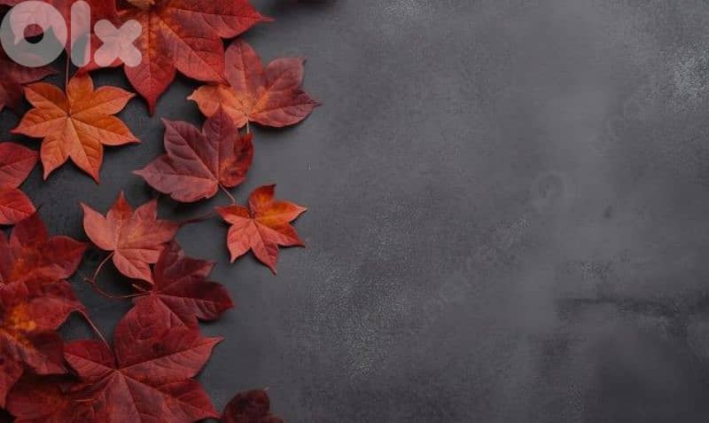 artistic painting 03112980 1