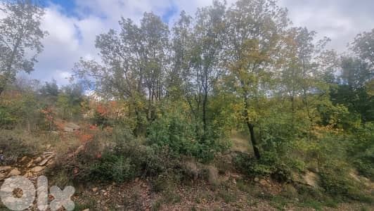Land for sale in Bikfaya - أرض للبيع في بكفيا
