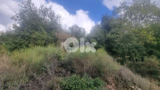 Land for sale in Bikfaya - أرض للبيع في بكفيا
