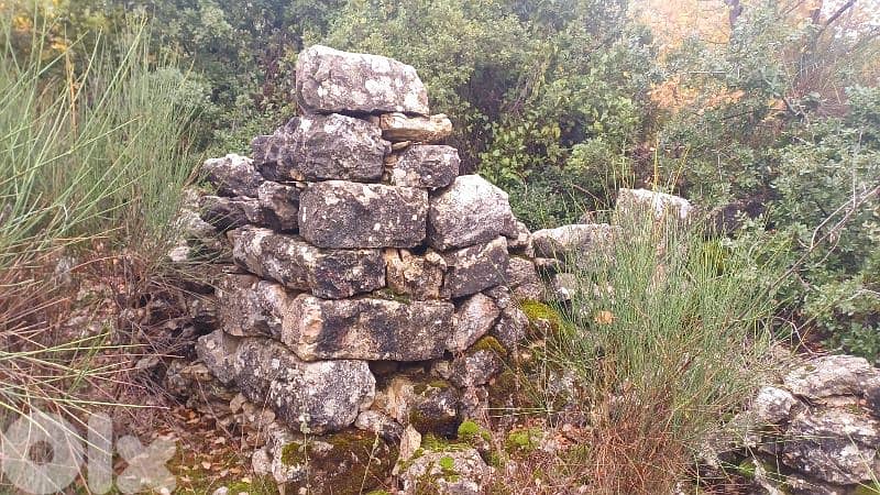 land for sale in Bchaaleh أرض للبيع في بشعلة 2