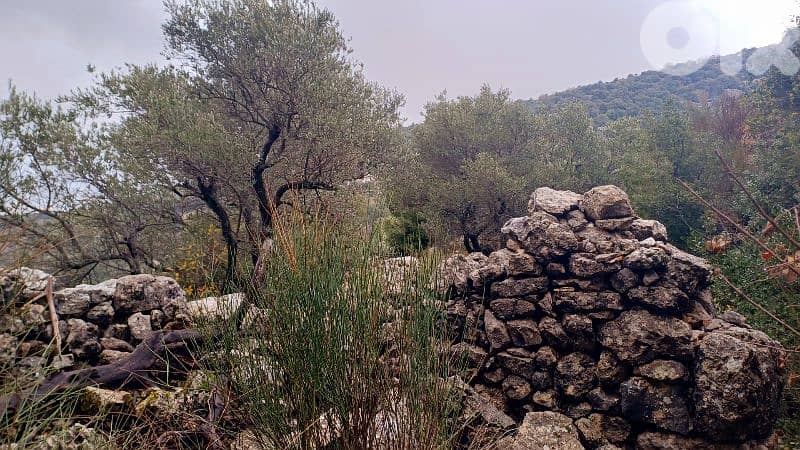 land for sale in Bchaaleh أرض للبيع في بشعلة 4