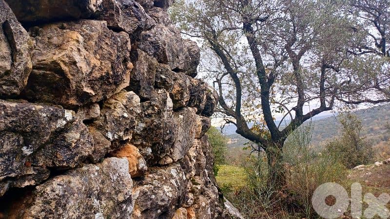 land for sale in Bchaaleh أرض للبيع في بشعلة 5