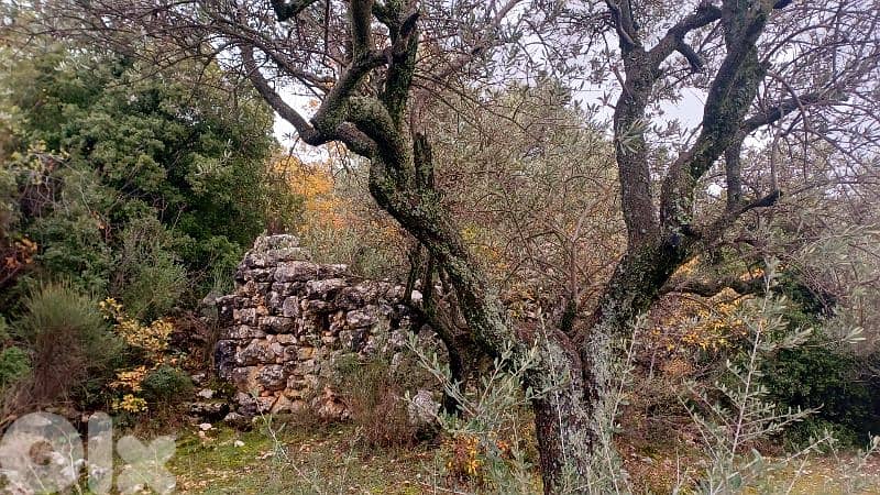 land for sale in Bchaaleh أرض للبيع في بشعلة 7