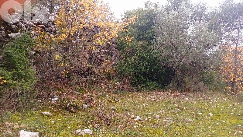 land for sale in Bchaaleh أرض للبيع في بشعلة 9