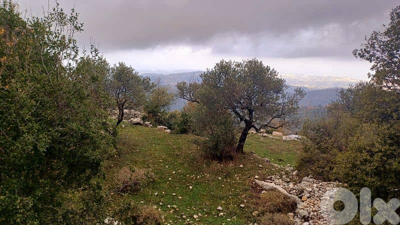 land for sale in Bchaaleh أرض للبيع في بشعلة 10