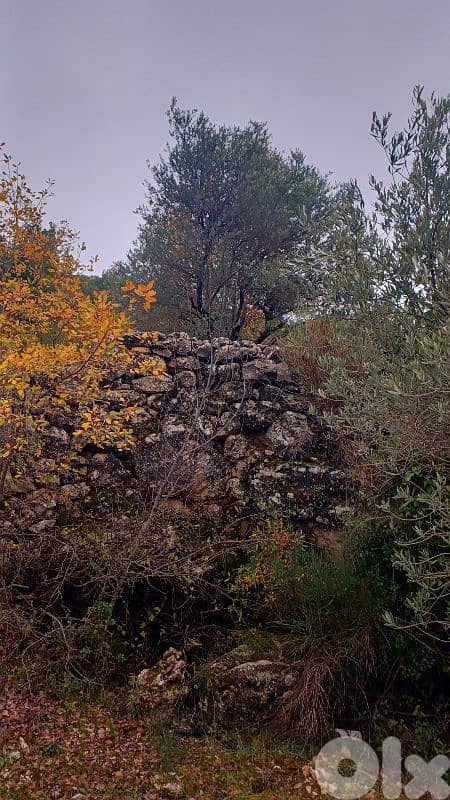 land for sale in Bchaaleh أرض للبيع في بشعلة 11