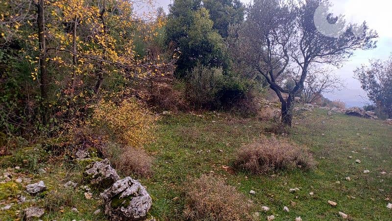 land for sale in Bchaaleh أرض للبيع في بشعلة 12