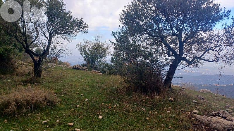 land for sale in Bchaaleh أرض للبيع في بشعلة 13