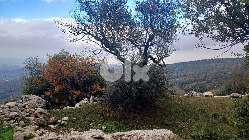 land for sale in Bchaaleh أرض للبيع في بشعلة 15