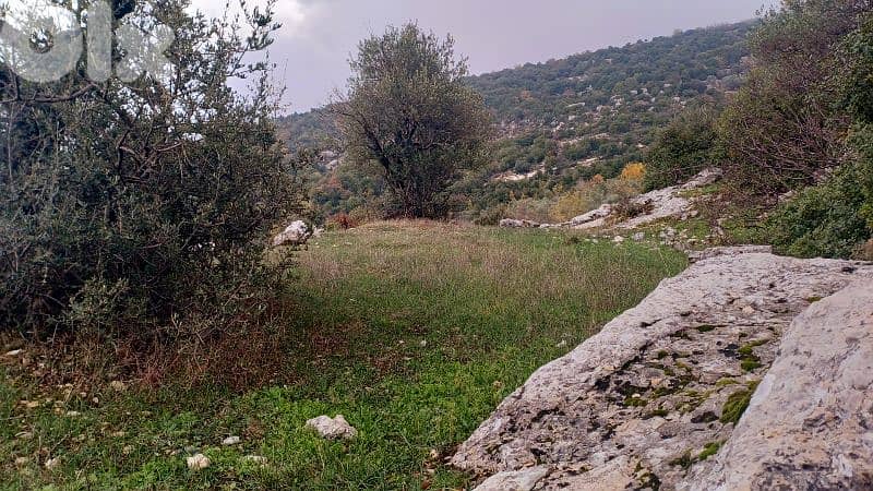 land for sale in Bchaaleh أرض للبيع في بشعلة 16