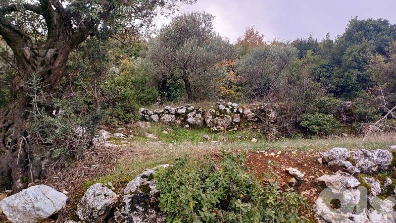 land for sale in Bchaaleh أرض للبيع في بشعلة 18