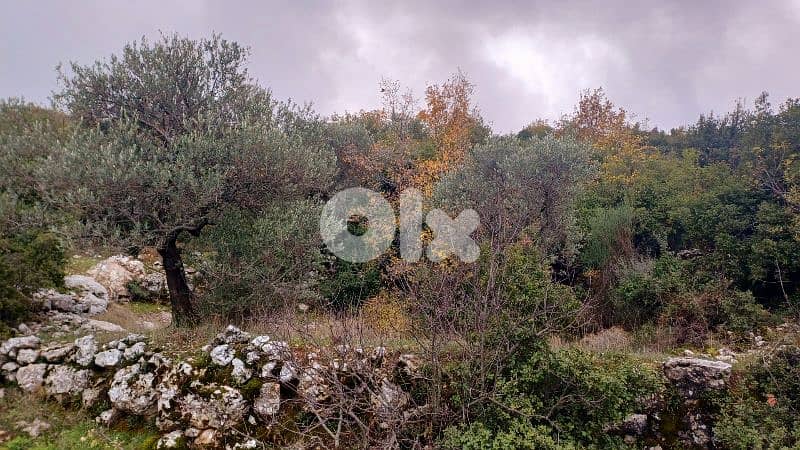 land for sale in Bchaaleh أرض للبيع في بشعلة 19