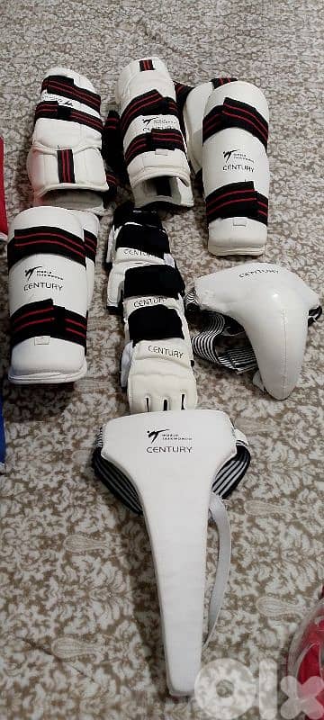 items taekwondo 2