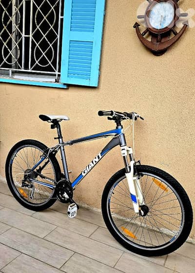 Giant mtb