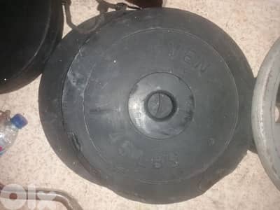 1.5$/kg olympic plate