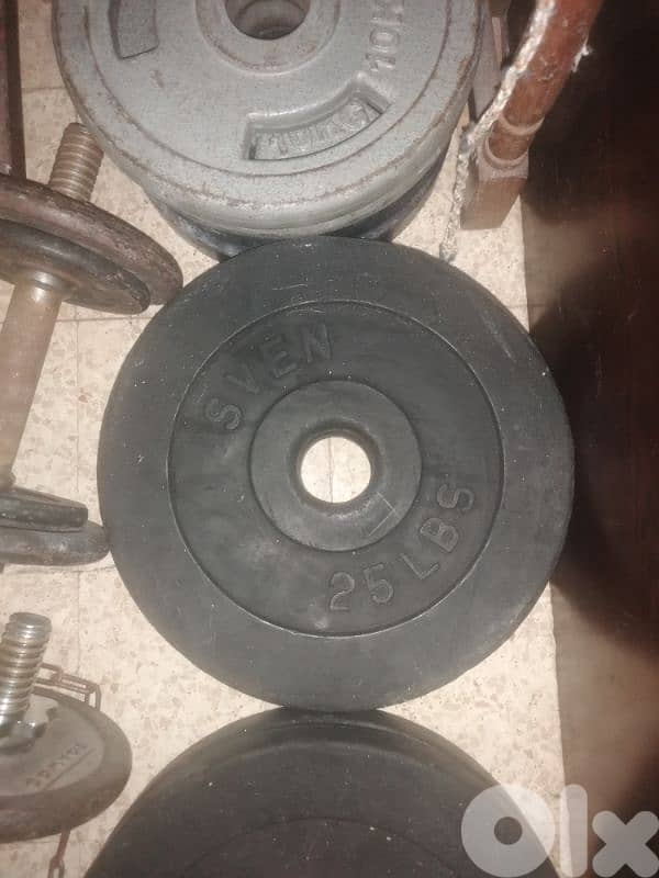 1.5$/kg olympic plate 2