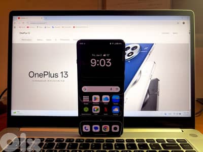 oneplus 13