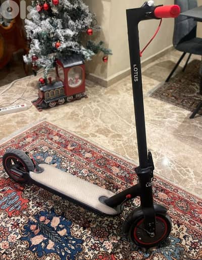 Electric Scooter for sale
