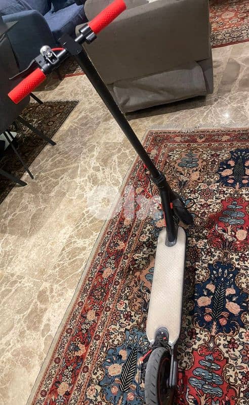 Electric Scooter for sale 1