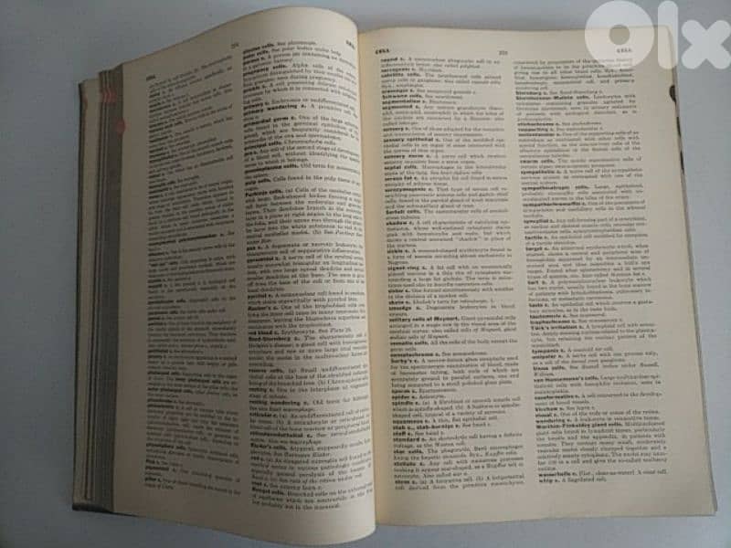 Very old Blakiston's New Gould Medical Dictionary - Not Negotiable 1