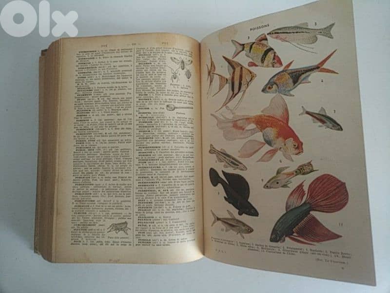 Very old Petit Larousse illustré - Not Negotiable 1