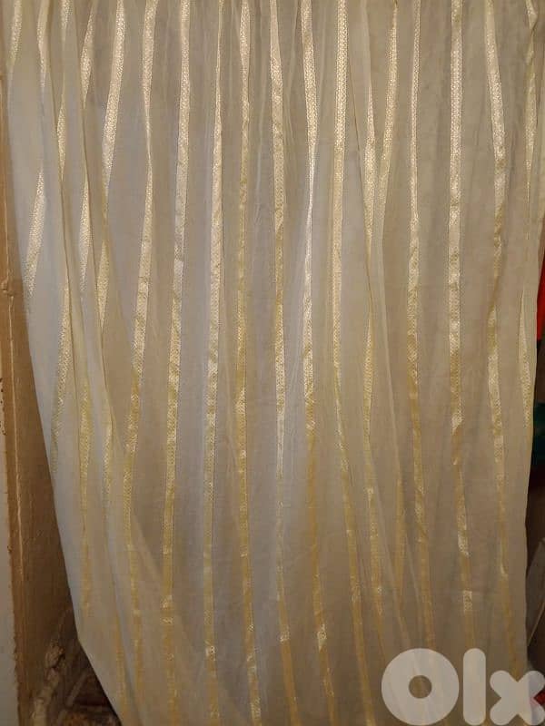 برادي صالون 1